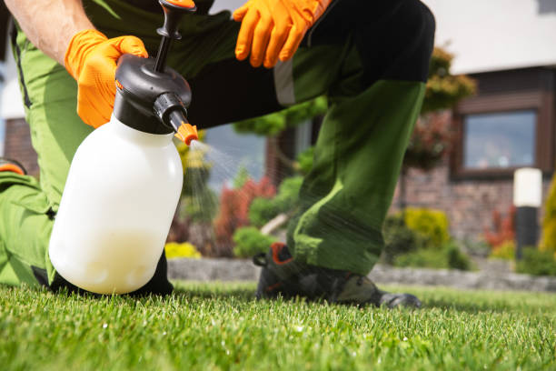 Best Wildlife Control Services  in Ravenna, MI