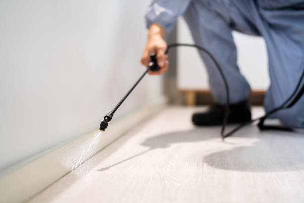 Best Flea Control Services  in Ravenna, MI