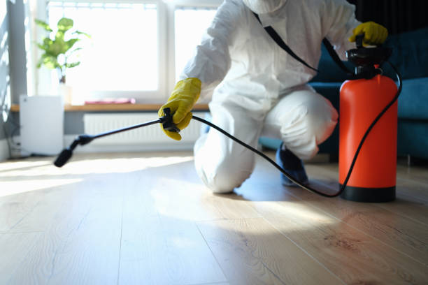 Best Wasp Removal Services  in Ravenna, MI