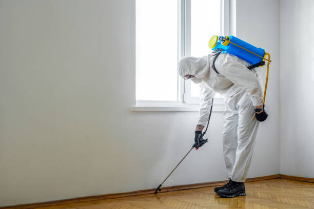 Best Local Pest Control Services  in Ravenna, MI