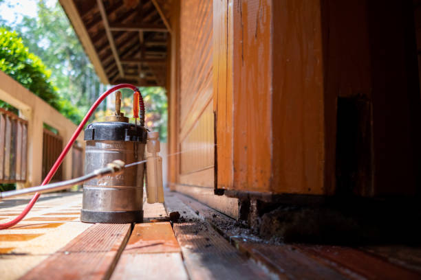 Best Affordable Pest Control Services  in Ravenna, MI