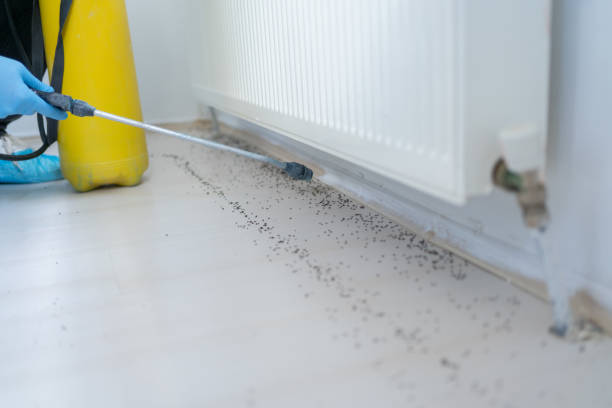 Best Pest Prevention Services  in Ravenna, MI