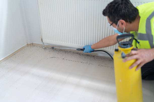 Best Best Pest Control Companies  in Ravenna, MI