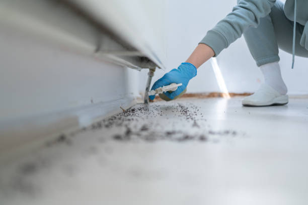 Best Exterminator Services  in Ravenna, MI
