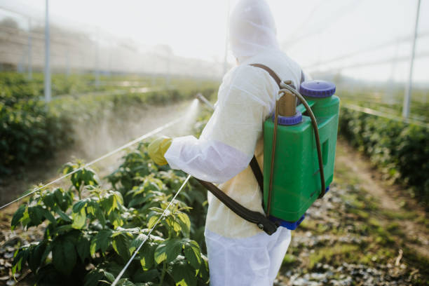 Best Pest Control for Homes  in Ravenna, MI